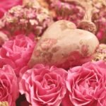 valentine's day, roses, heart-3699995.jpg